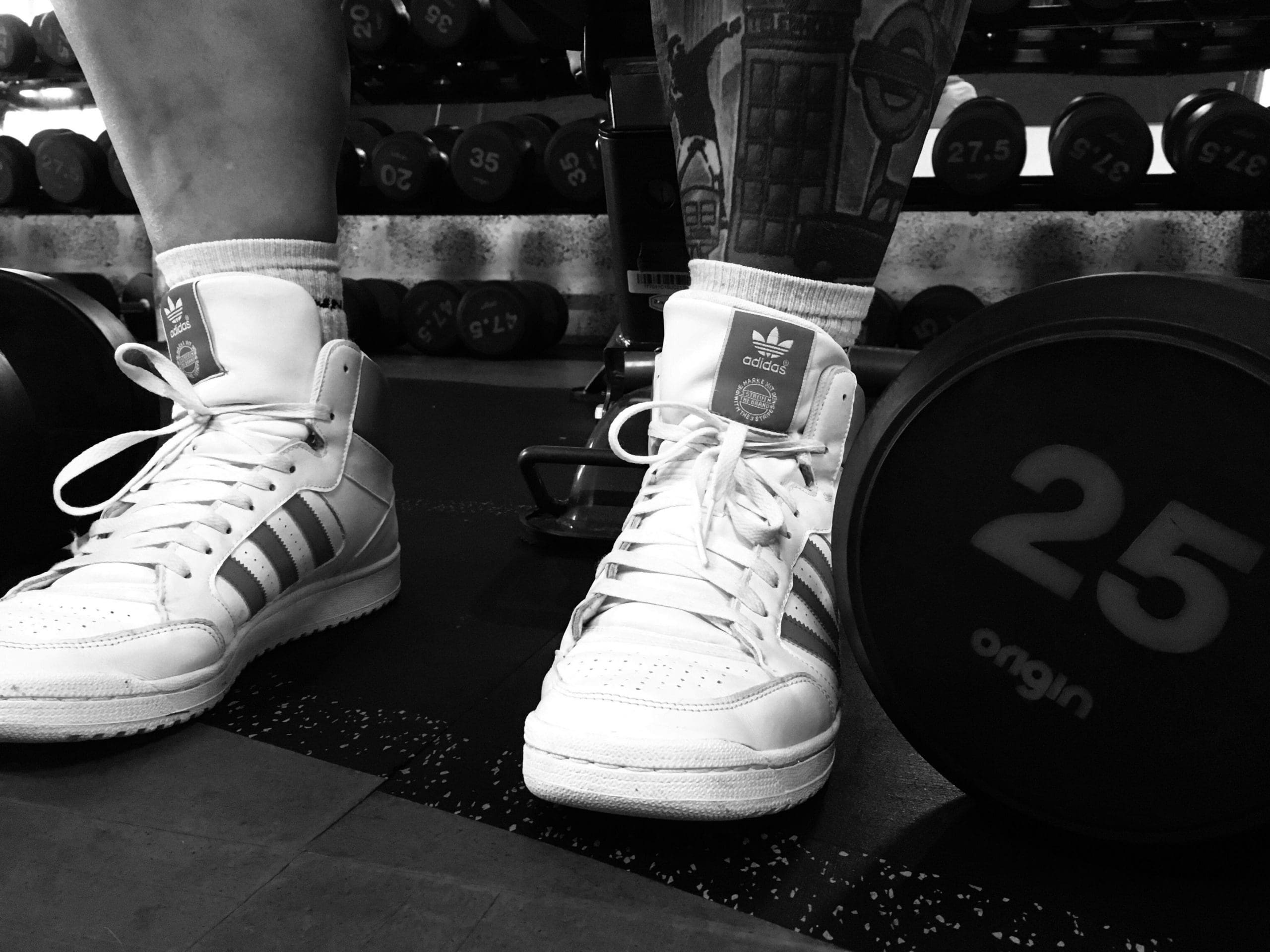 Silverback Gym Tain Highlands