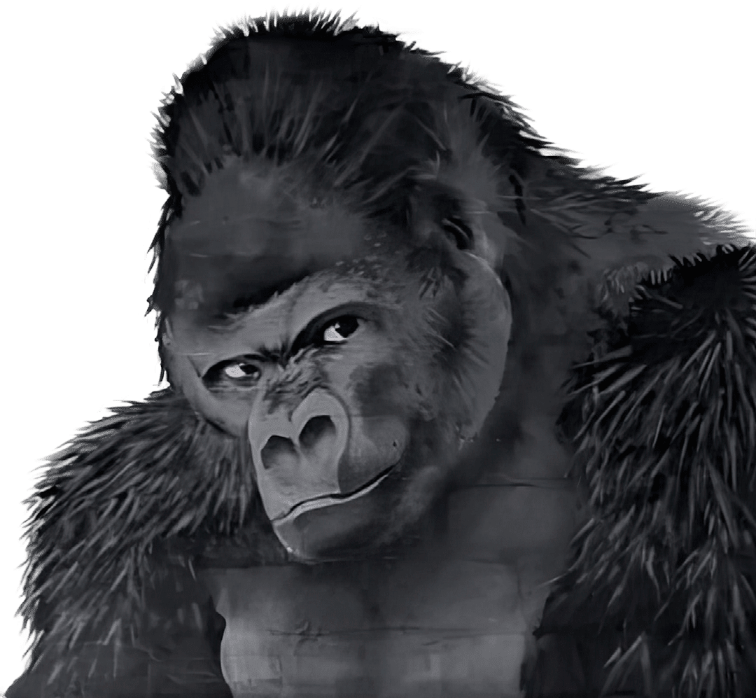 Dornoch grafitti Silverback Gyms spraypainted gorilla
